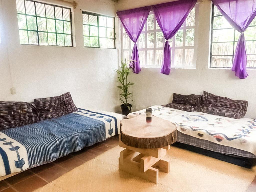 Unicorn Reborn - Peaceful Rentals Тікаль Екстер'єр фото